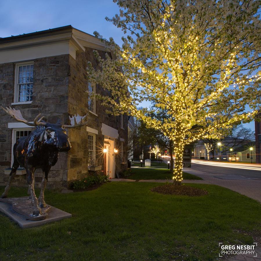 Governor'S Rock Motel Shaftsbury Esterno foto